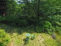 blue-sky-in-nasu-view-from-deck-outdoor-bbq