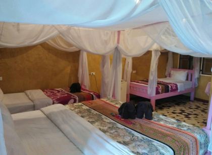 오키드 히비커스 게스트 하우스