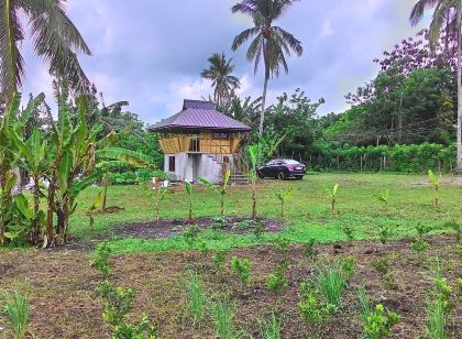 Emperor's Organic Farm