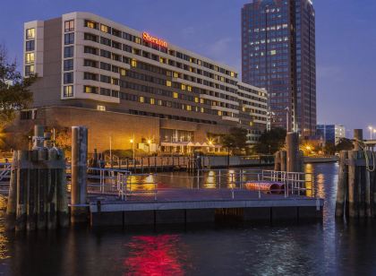 쉐라톤 노퍽 워터사이드 호텔