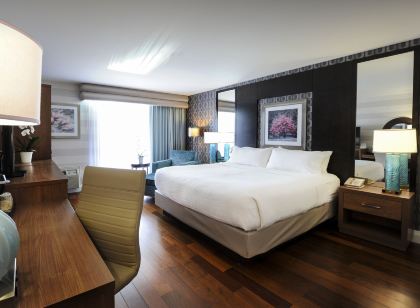 Holiday Inn Niagara Falls - by the Falls