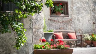 genieserhotel-die-forelle