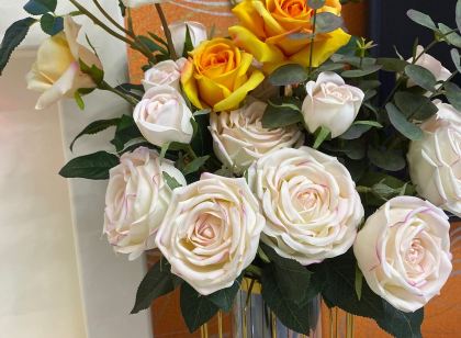 藍晶靈公寓(北京路1號分店)