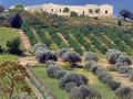 casal-di-noto-resort
