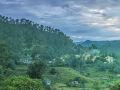 club-mahindra-binsar-valley