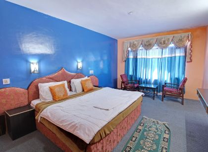 Hotel Manali Castle