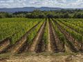 i-borrigiani--il-borro-toscana