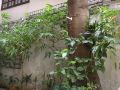 palmo-serviced-apartment-2