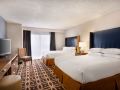 embassy-suites-by-hilton-dallas-dfw-airport-south