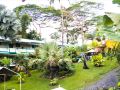 wild-ginger-hotel