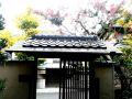 kinkaku