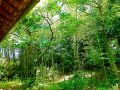 kominka-sharehouse-hooju