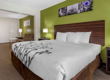 Sleep Inn & Suites