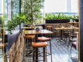 othelo-hotel-boutique-mexico