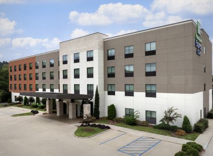 홀리데이 인 익스프레스 & 스위트 - 버밍햄 - 홈우드