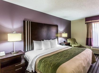 Comfort Inn Paducah I-24