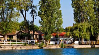 les-canisses