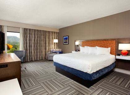 Hampton Inn Kingsport