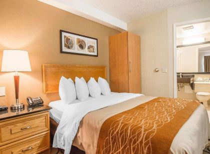 Comfort Inn