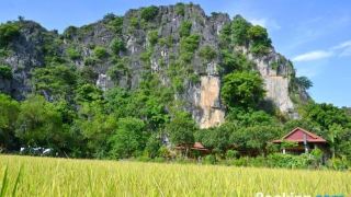 tam-coc-mrloa-homestay