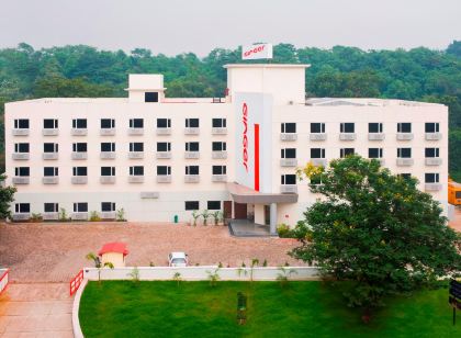 Ginger Jamshedpur