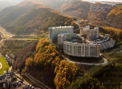 하이원리조트 힐콘도