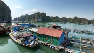 halong-glory-cruise