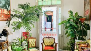 majestic-place-old-havana