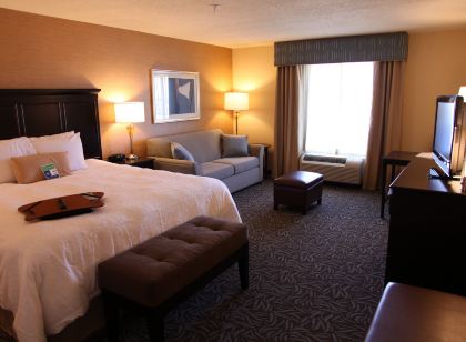 Hampton Inn & Suites by Hilton Carlsbad