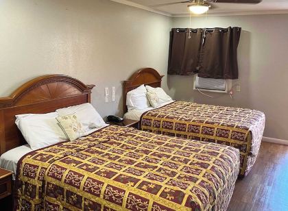 Ladybird Inn