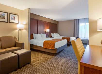 Comfort Suites South Haven Near I-96