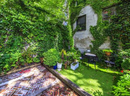 チェルシー パインズ イン