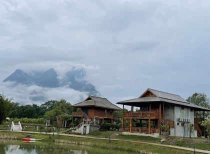 บ้านสวนตะวันเชียงดาว