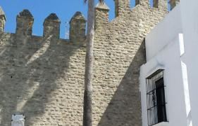 puro-vejer