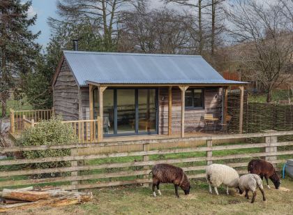 Beech Tree Cabin