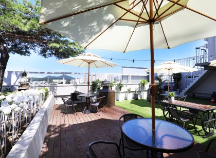 파주 금촌 그라체