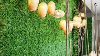 green-oasis-hotel