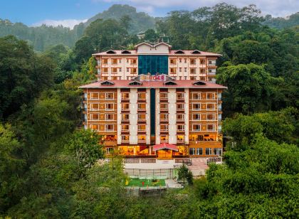 Ginger Gangtok