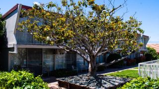 travelodge-by-wyndham-monterey-bay