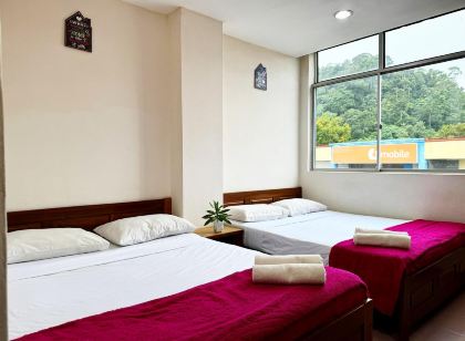 Town Inn Hotel - Rainforest