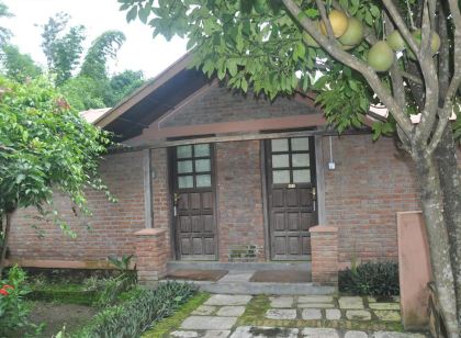 Hotel Elephant Camp
