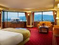 room overview picture