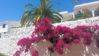 el-capistrano-sur