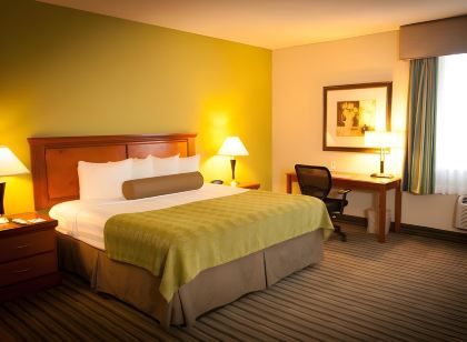 Best Western Plus Miami-Doral/Dolphin Mall