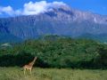 elewana-arusha-coffee-lodge
