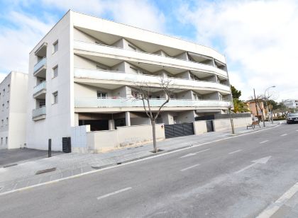 Oliveres