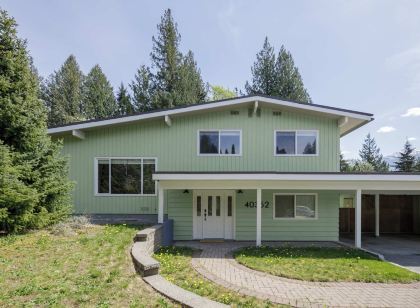 The Forest Pedal House