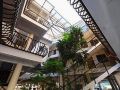 kiwi-hotel