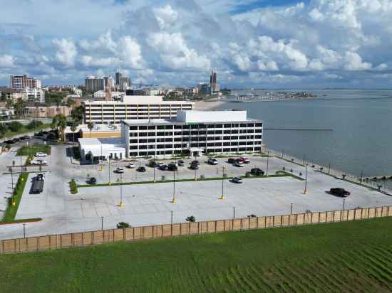 Holiday Inn Express: Corpus Christi - Beachfront Hotel Exterior