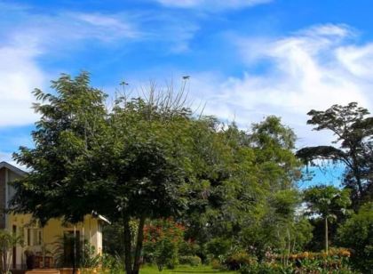 Bushbaby Lodge